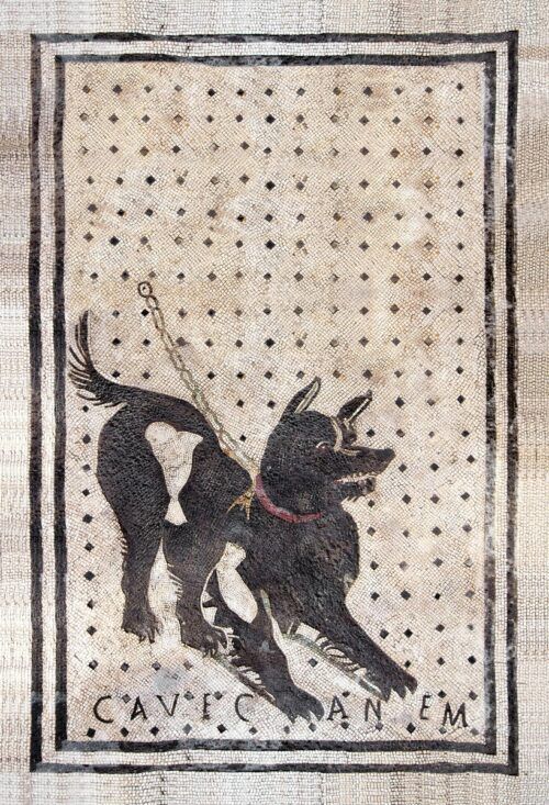 MOSAICO ROMANO CAVE CANEM
